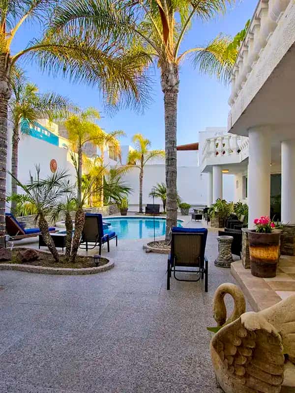 twilight house palm tree front