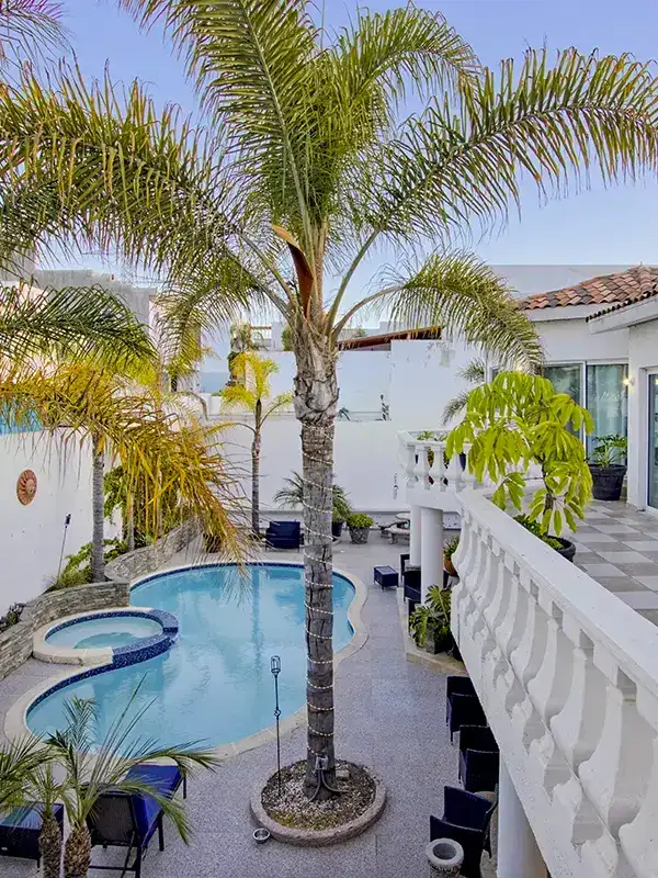 twilight pool palm trees patio